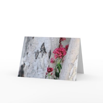 Birch Tree Card by LorrieM