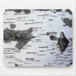 Birch tree in forest, detail, with moss mousemat