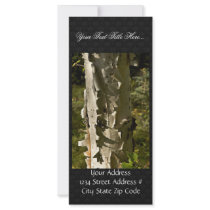 Birch tree rack cards
