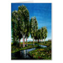 BIRCH TREES IN TUSCANY cards