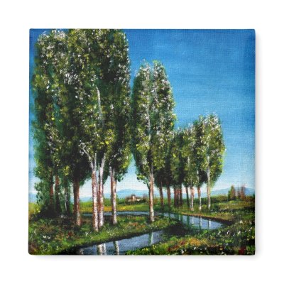 BIRCH TREES IN TUSCANY REFRIGERATOR MAGNETS by bulgan_lumini