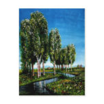 BIRCH TREES IN TUSCANY POST CARD