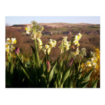 Birch Vale, Peak District postcard