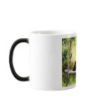 Birches and Bear Northwoods Mug