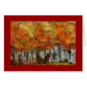 Birches in Autumn cards