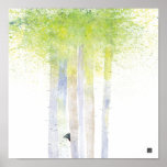 BIRCHTREES