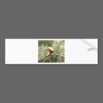 BIRD1 bumper stickers