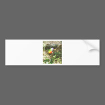 BIRD2 bumper stickers