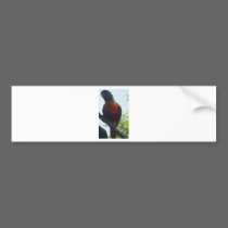 BIRD3 bumper stickers