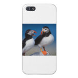 bird a pair of puffins case for iPhone 5/5S