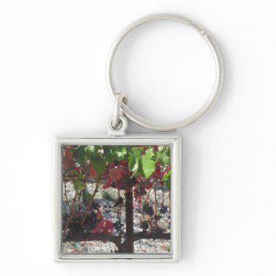 Bird among Grapes on Vine in Vineyard Key Chain by cawinecountry