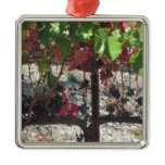 Bird among Grapes on Vine in Vineyard Christmas Ornament