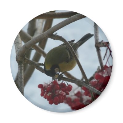 Bird and Berry Magnets by ailema4ever