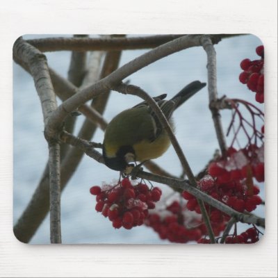 Bird and Berry Mouse Mats by ailema4ever