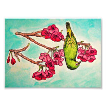 Bird and Cherry Blossom Print Photo Art