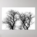 Bird and tree silhouette. posters