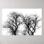 Bird and tree silhouette. posters