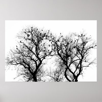 Bird and tree silhouette. poster by deegolden