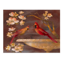 Bird Bath Postcard