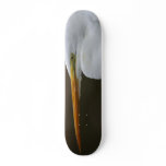 bird beak skateboard