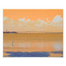 Bird Bridge Orange Blue River Florida Photo Art