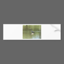 Bird bumper stickers