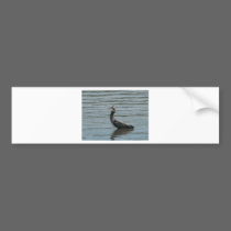 Bird bumper stickers