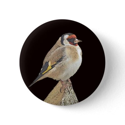 Bird Pin by REDINARD