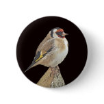 Bird buttons