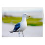 Bird by the Water Greeting Cards