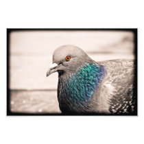 bird by water photo print