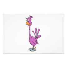 Bird cartoon photo
