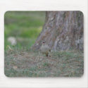 Bird Chirping mousepads