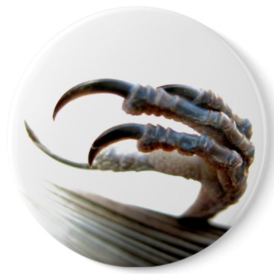 Bird Claw Button by ChelseaKerwath