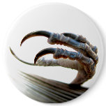 Bird Claw Button