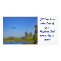 bird diving into the lake