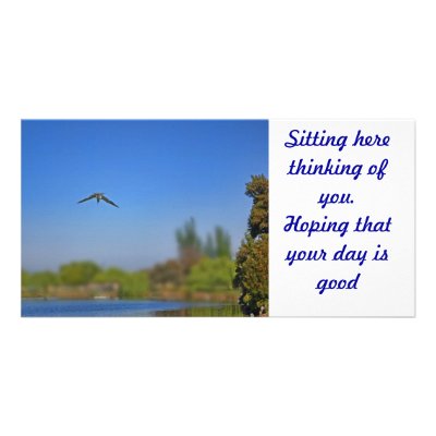 bird diving into the lake by design_girl