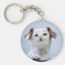 Bird Dog Keychain