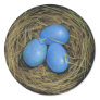 BIRD EGGS IN NEST: REALISM ART: STICKERS