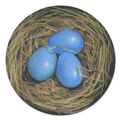 BIRD EGGS IN NEST: REALISM ART: STICKERS by joyart
