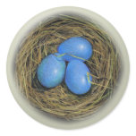 BIRD EGGS IN NEST: REALISM ART: STICKERS