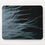 bird feathers mouse mat