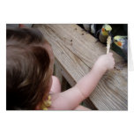 Bird Feeder Cards