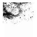 Bird Flock Tee t-shirts