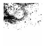 Bird Flock Tee t-shirts