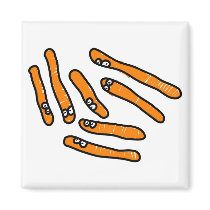 Bird Flu Spores Fridge Magnet