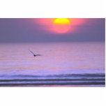 Bird Flying Over Water Photo Cutout