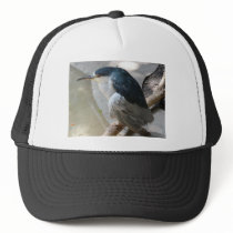 bird hats