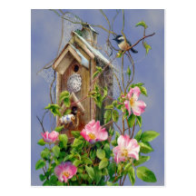 Bird House Postcard