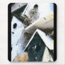Bird Houses Mouse Pads